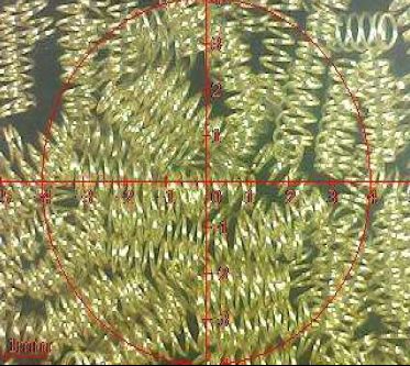 ROHS -ov Izvještaj o ispitivanju pogonskih opruga