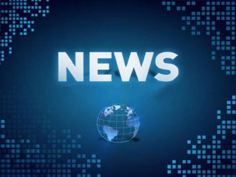 Sastav i funkcija pogo pina